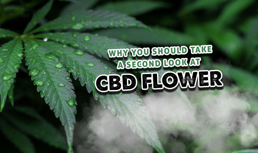 Por qué deberías darle una segunda mirada a las flores de CBD 