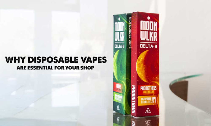 The Popularity of Disposable Vapes
