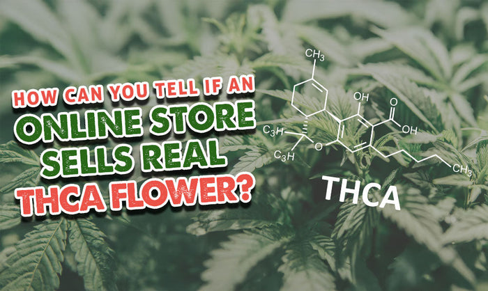 How Can You Tell If an Online Store Sells Real THCA Flower?