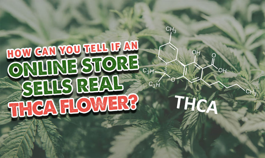 How Can You Tell If an Online Store Sells Real THCA Flower?