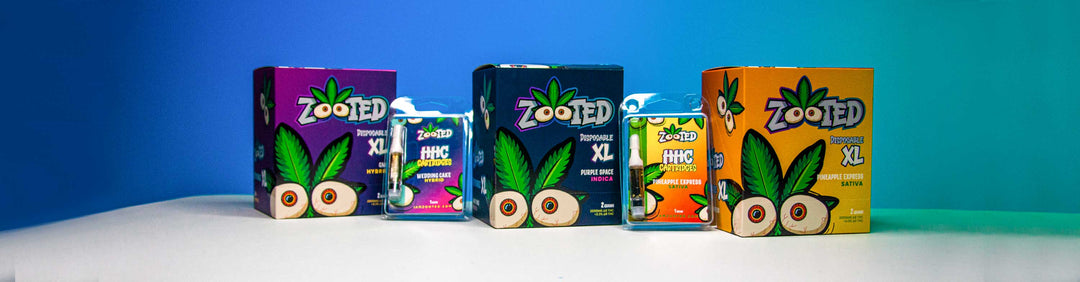 Wholesale Zooted Disposables and Cartridges standing on table in colorful studio lighting