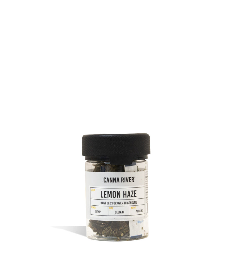 Lemon Haze Canna River 7g D8 Flower on white background