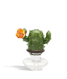 Cactus de tres brazos