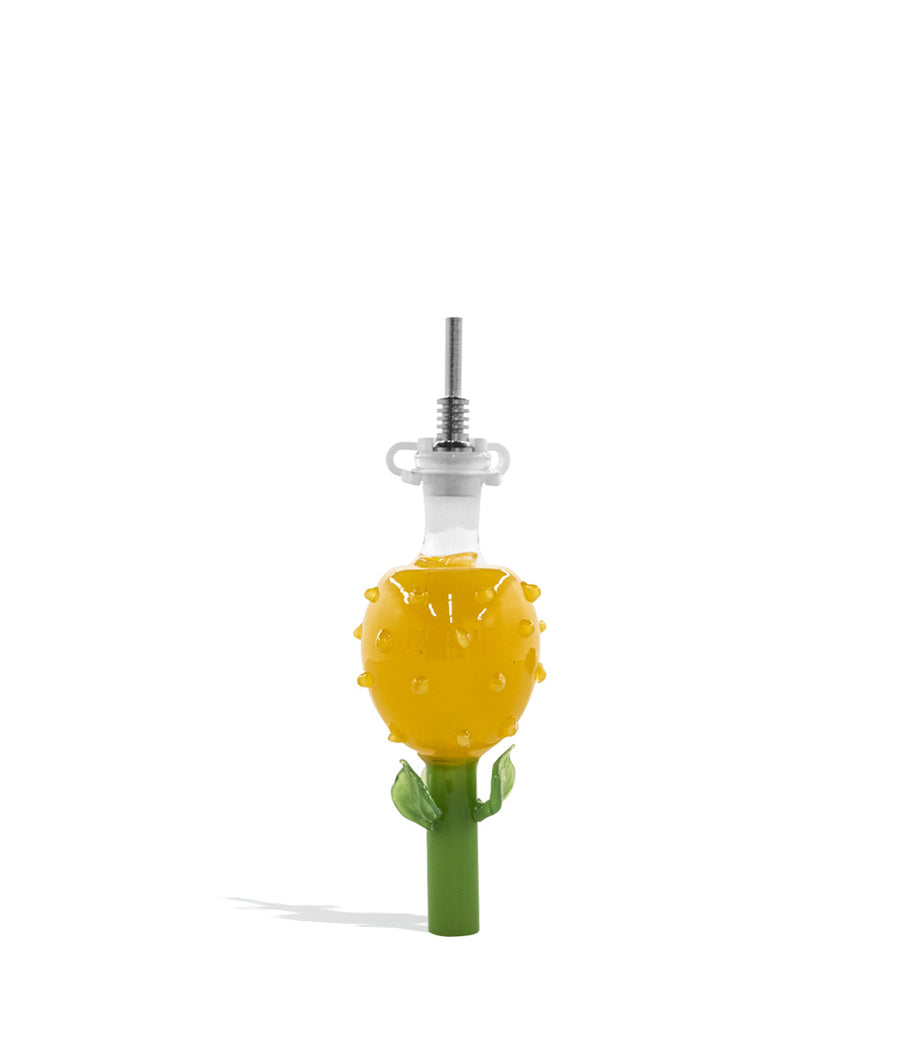 Pineapple Styled Nectar Straw with 10mm Tip on white background