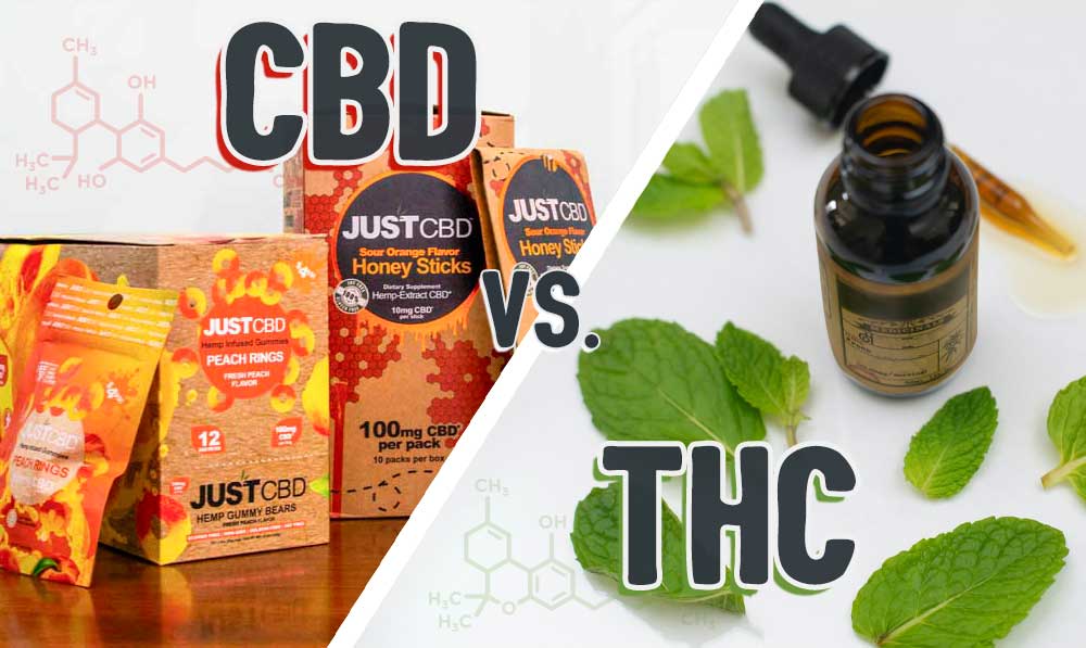 THC Vs. CBD: What’s the Difference?