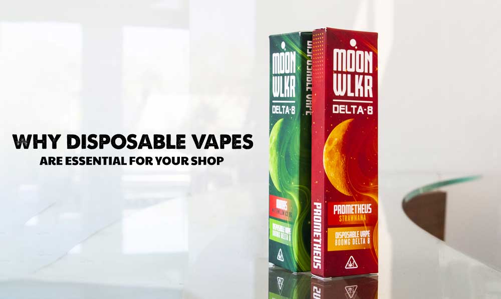 The Popularity of Disposable Vapes