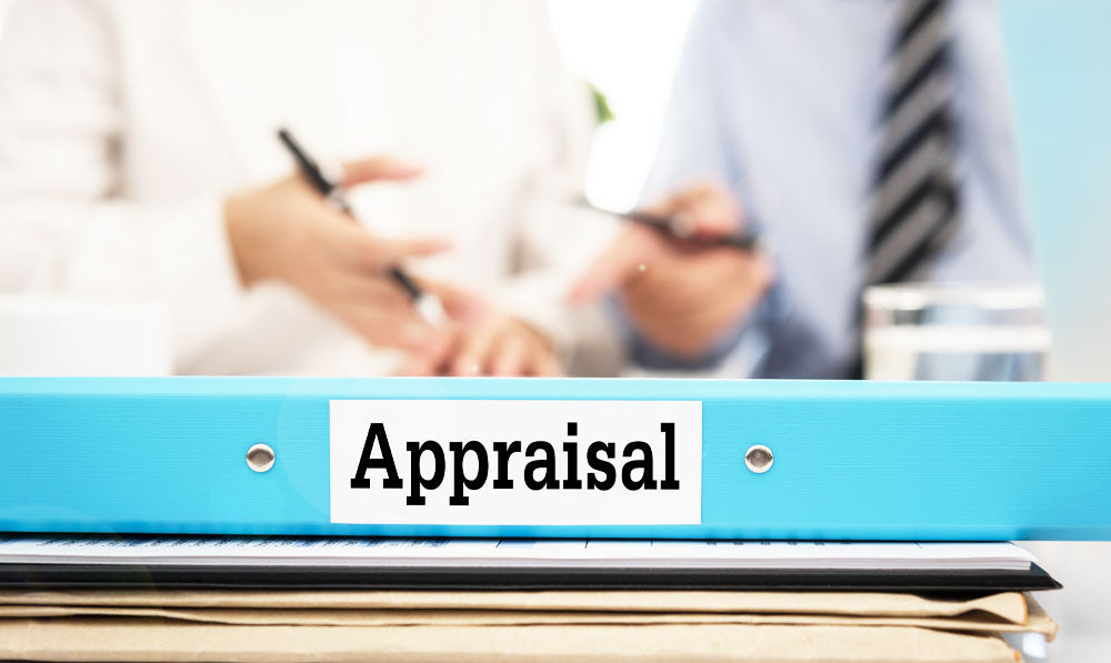 Businesspeople preparing an appraisal