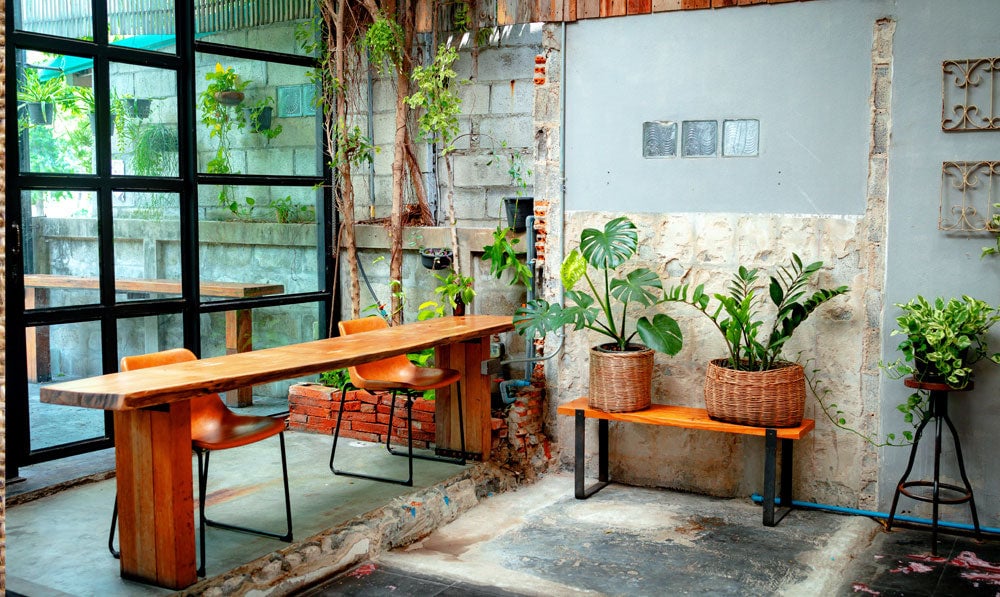 Indoor of a shop with wood and plant decorations