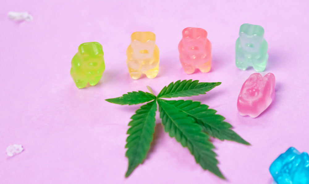 Hemp Gummies on pink surface with hemp plants nearby
