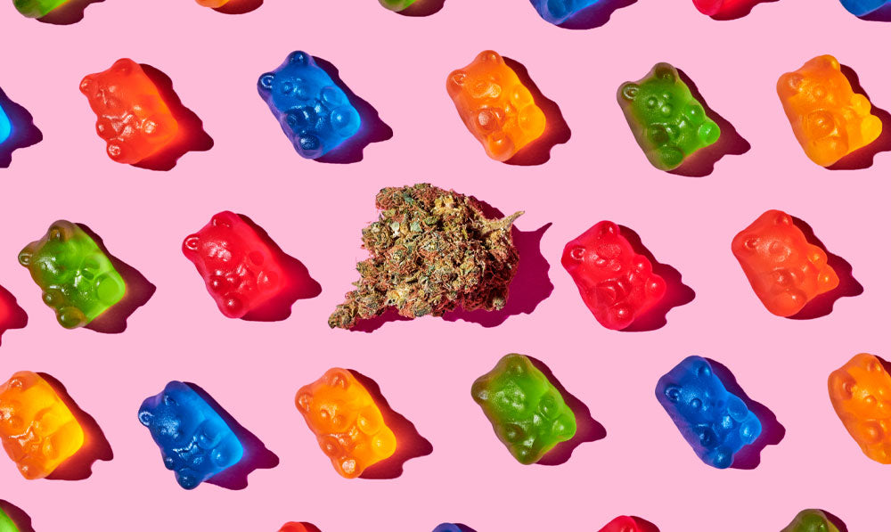 Hemp gummies near CBD plant