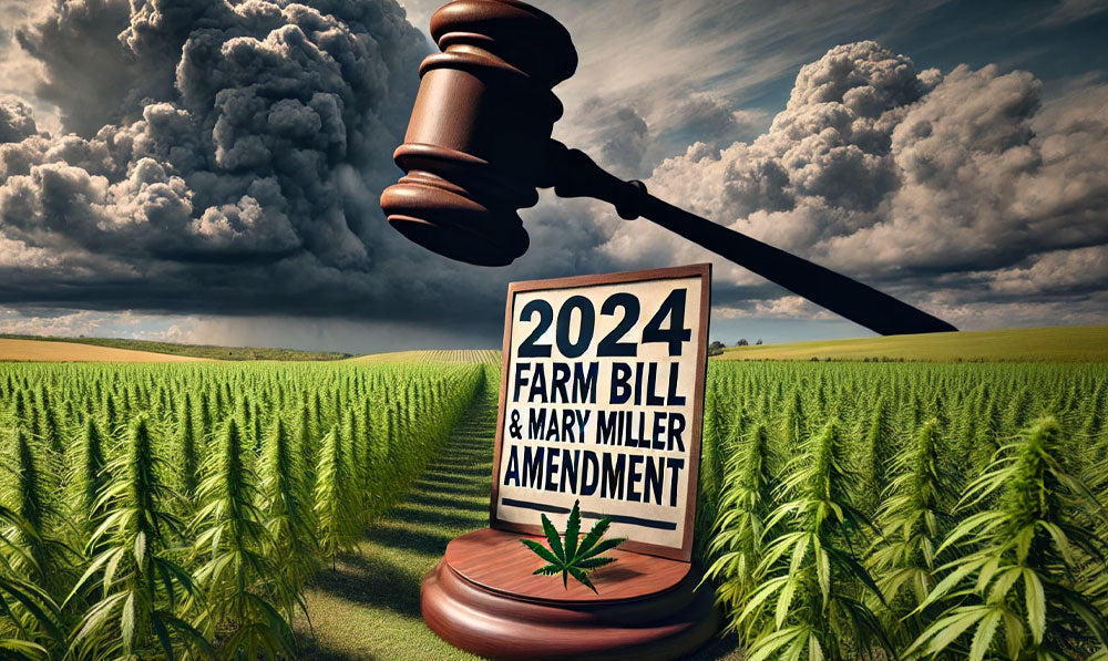 2024 Farm Bill image with large gavel hovering over hemp plants