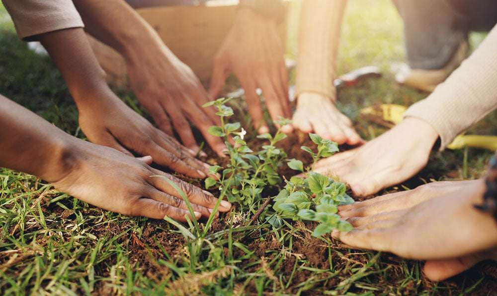 People working together for planting soil