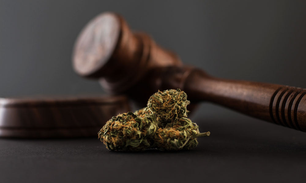 Law gavel with THC flower nearby