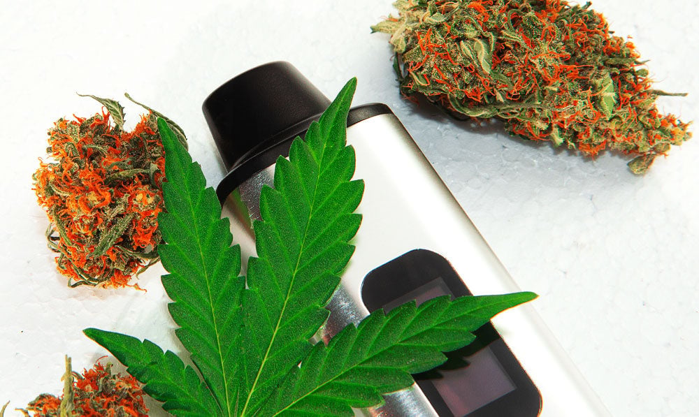 Dry Herb Vaporizers resting on white surface with herbs nearby