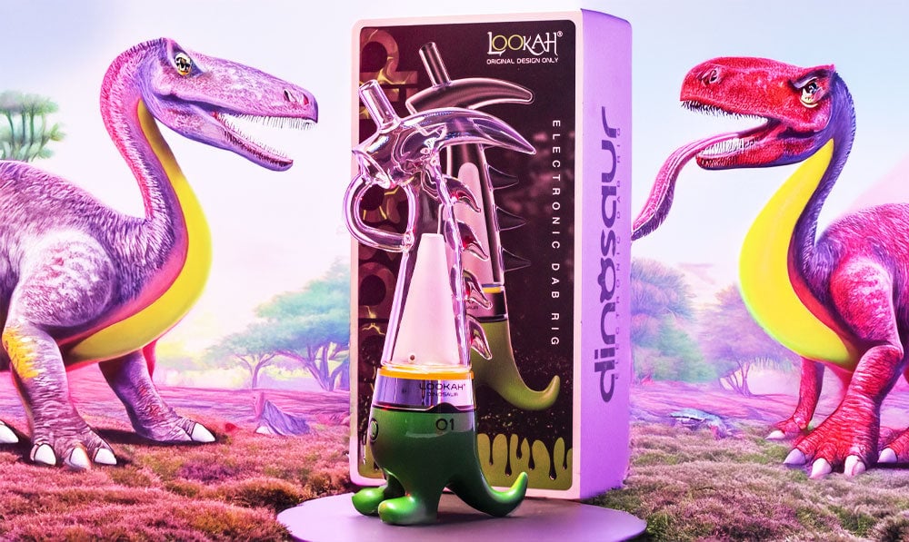 Lookah Dino with mossy terrain and dinosaur drawings