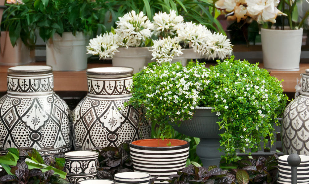 Decorated Outdoor Shop