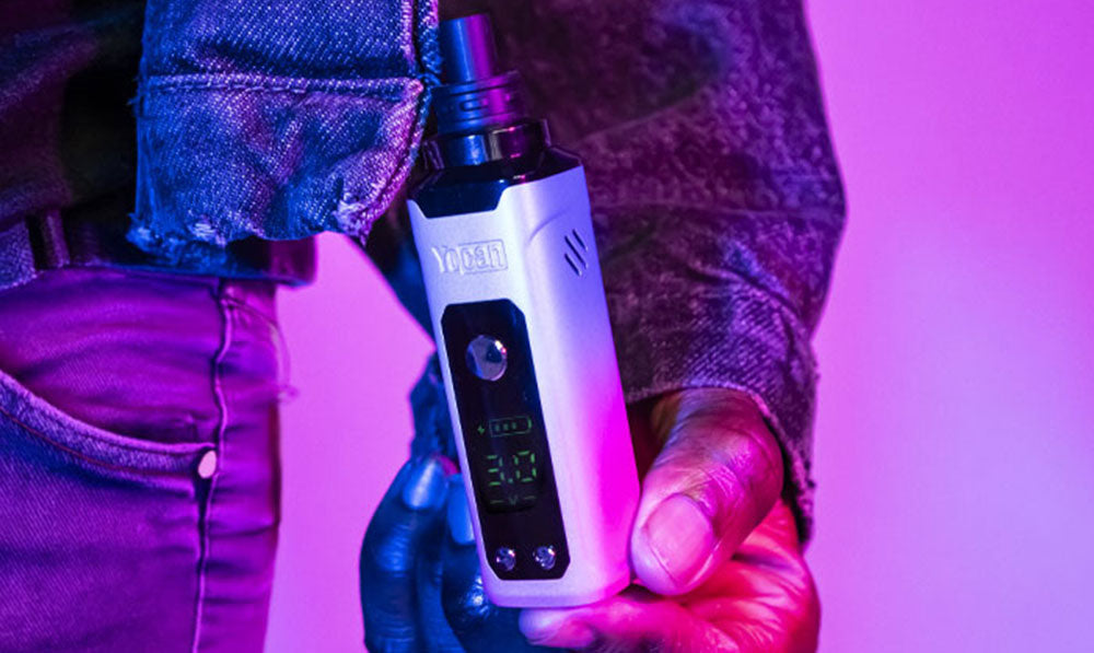 man holding Wulf Nestor in studio with purple lighting