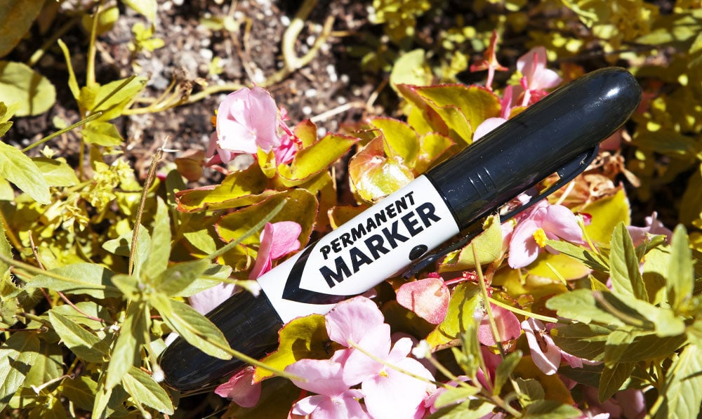 Smyle Permanent Marker on bed of flowers