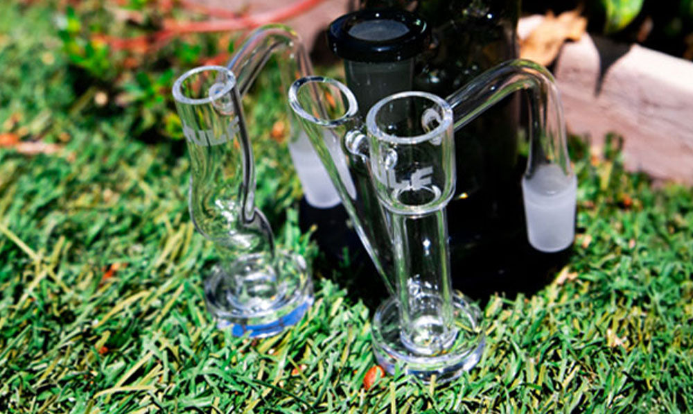 Wulf Zag and Wulf Horn sitting on grass