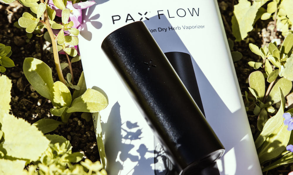 PAX Flow resting on top of packaging in bed of flowers