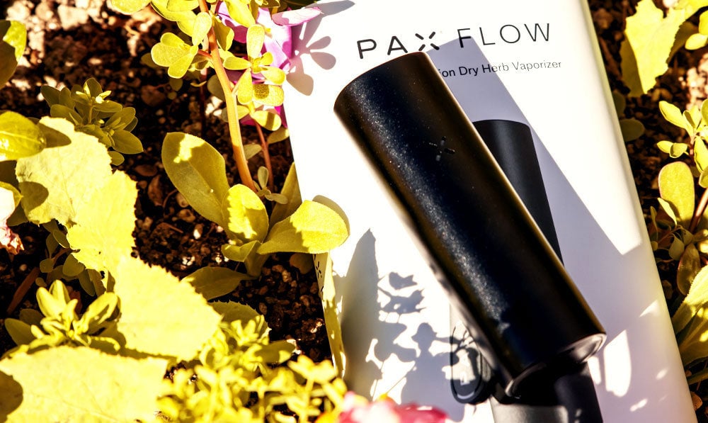 Onyx PAX Flow laying on flowers