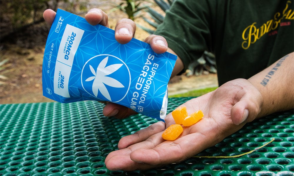 man pouring out Sacred EPN gummies into hand on lifestyle background