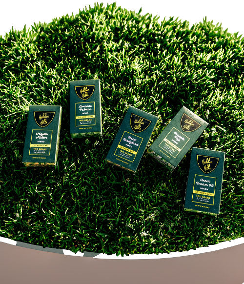 Hidden Hills products resting in planter on top of fake grass