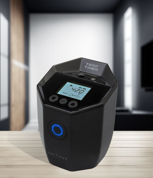 Octave Terp Timer standing on modern room