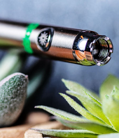 Closeup of Ooze pen near plants