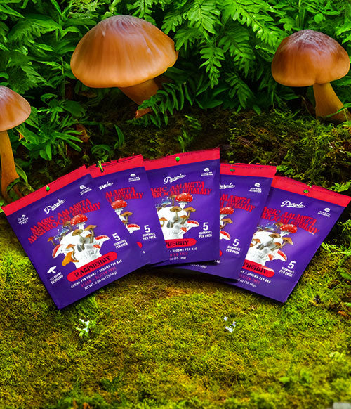 Purple Mushroom gummies with grass and mushrooms