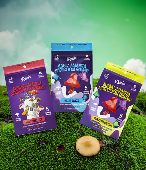 Purple Mushroom Gummies on green hillside with mushrooms