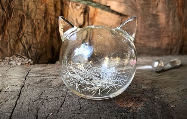 Whisker Bank on wood table with cat whiskers