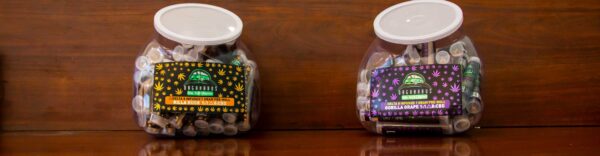 Wholesale Organabus 50pk prerolls standing on office table