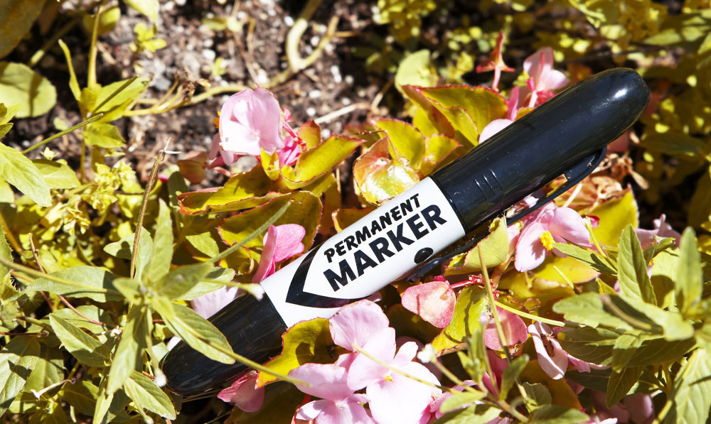 smyle permanent marker concealed 510 battery